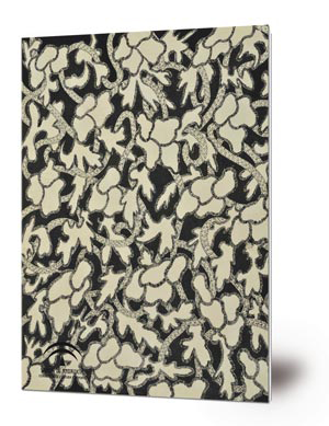 Moment musicale [Música impresa]