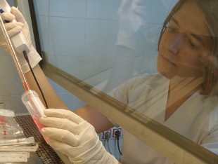 Investigador perteneciente a la Cátedra Curaxys.