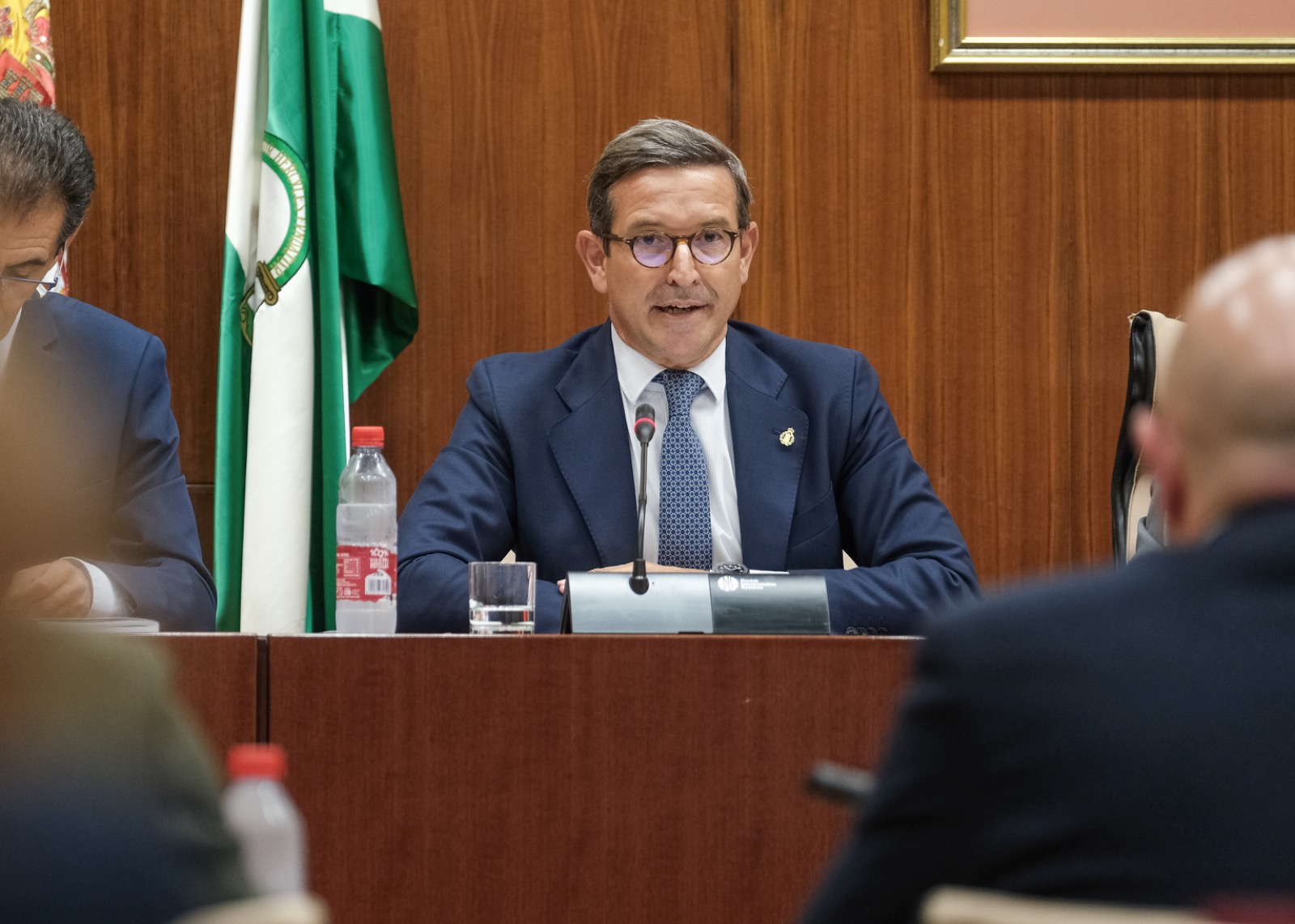 El consejero de Política Industrial y Energía, Jorge Paradela, en comisión parlamentaria.