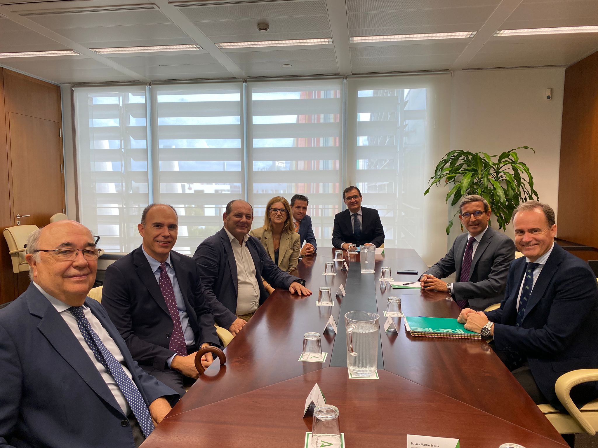 El consejero de Política Industrial y Energía, Jorge Paradela, con representantes de la Asociación de Energías Renovables de Andalucía (CLANER).