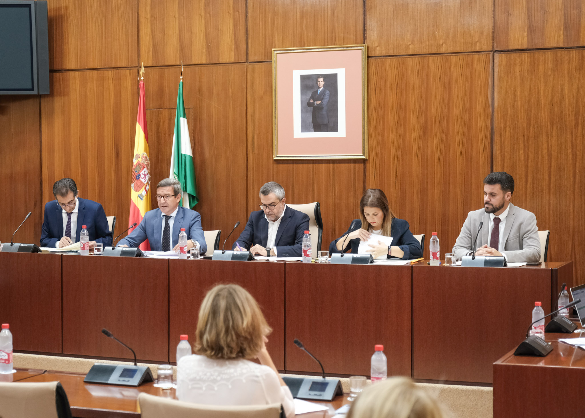 El consejero de Política Industrial y Energía, Jorge Paradela, en comisión parlamentaria.