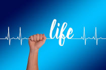 Una mano soporta una línea de pulso con la palabra LIFE