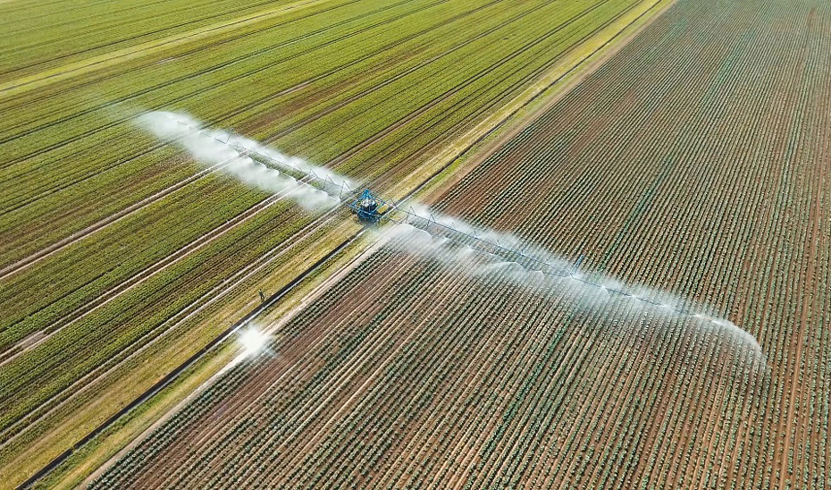 Imagen de un campo cultivado