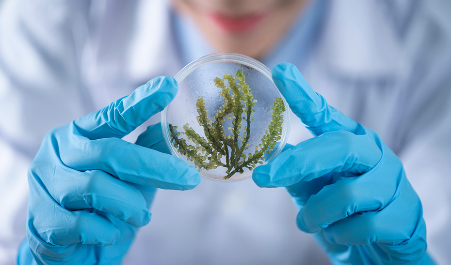 Investigación en biodiversidad