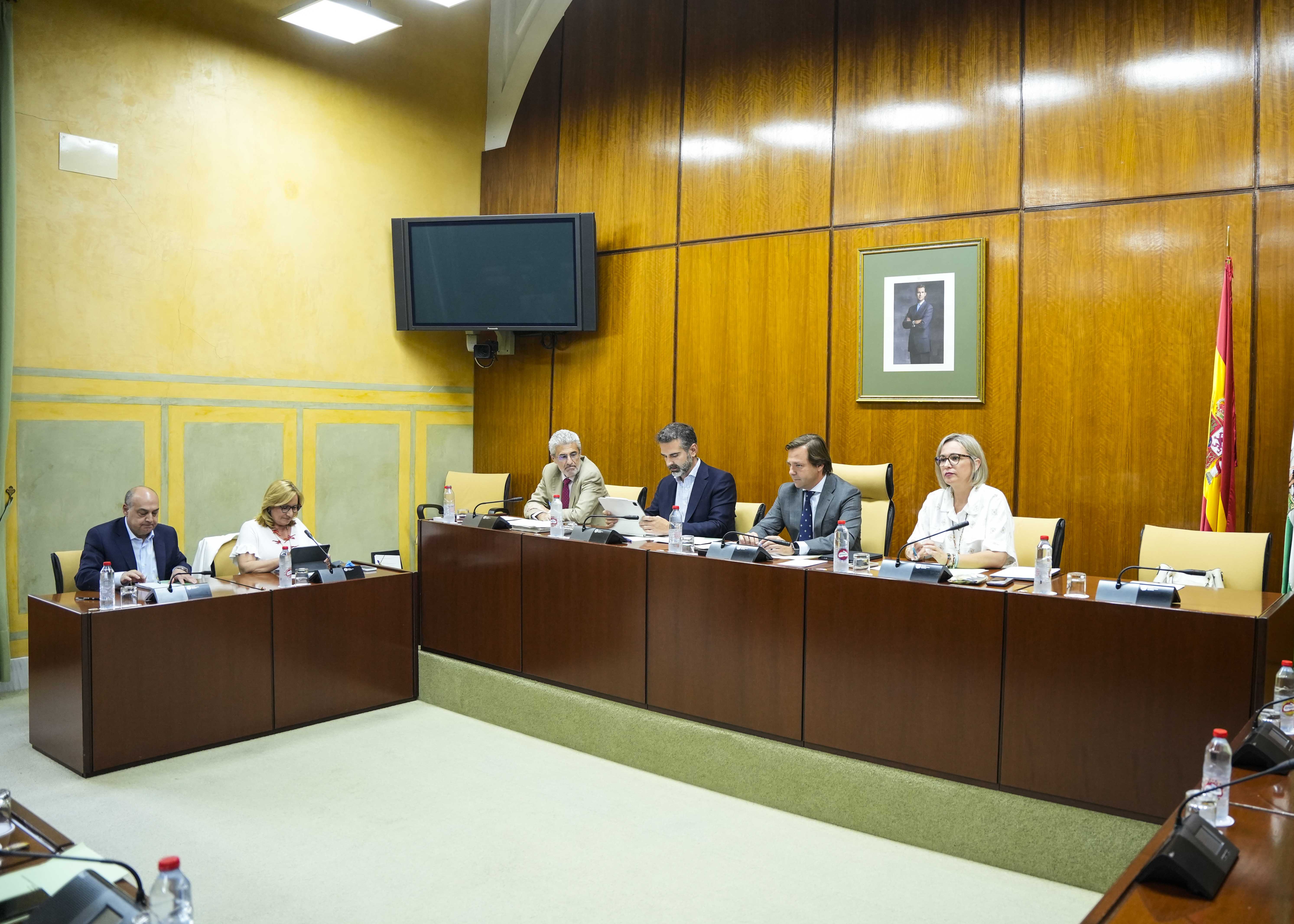 El consejero de Agricultura en la Comisión de Agricultura, Pesca, Agua y Desarrollo Rural del Parlamento de Andalucía