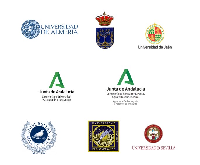 Relación de Logos de la Junta y de las Universidades con las que se tienen firmados convenios de formación