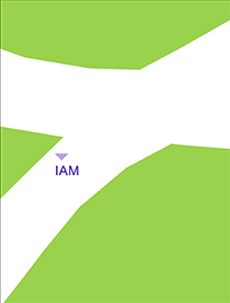 Guía Violencia hacia las mujeres con discapacidad