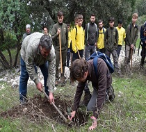 Plantación de pinsapos por jóvenes estudiantes de Secundaria