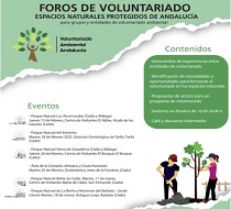 Foros de voluntariado medioambiental