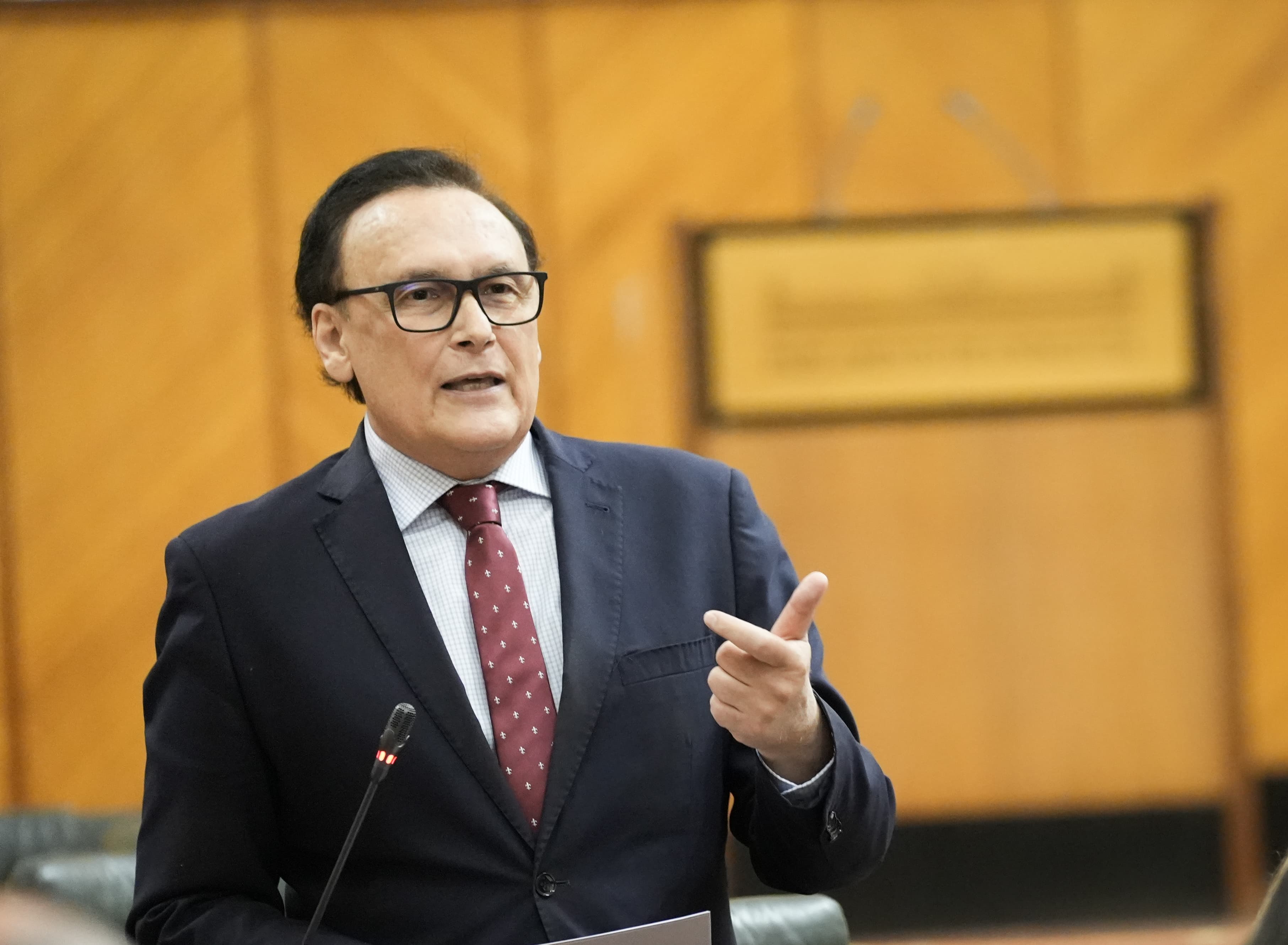 Villamandos en el Pleno del Parlamento