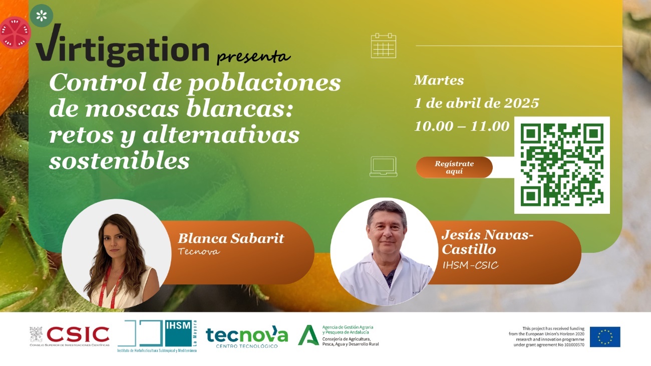 Cartel anunciador del Webinar