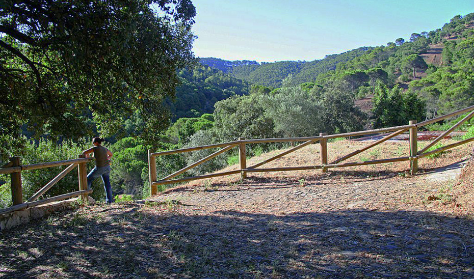 Vista del Parque Natural Montes de Málaga.