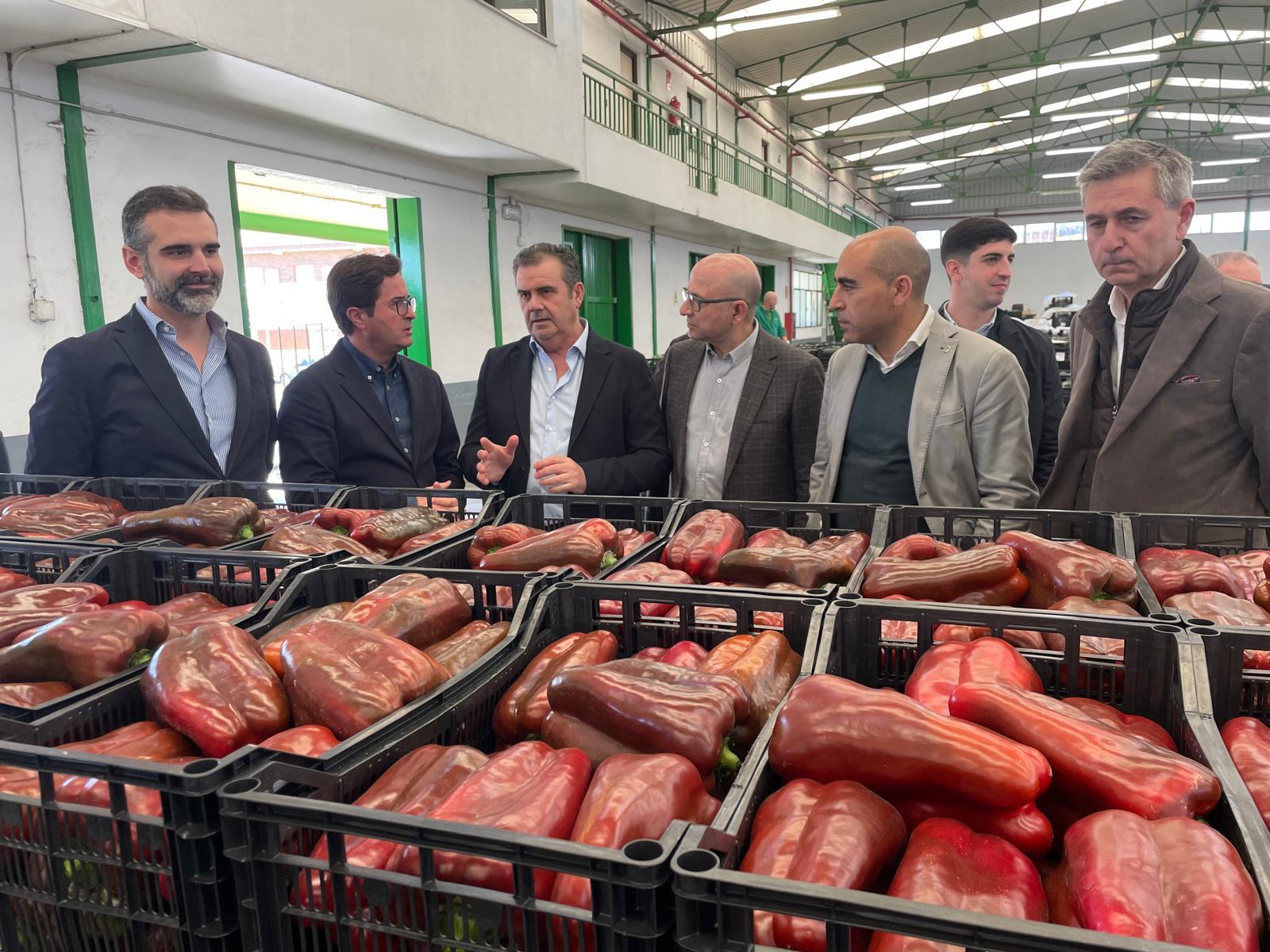 Fernández-Pacheco se reúne con ECOHAL.