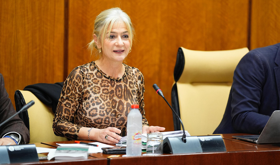 La consejera de Cultura y Deporte, Patricia del Pozo