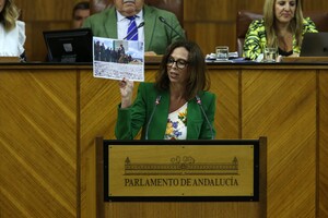 La consejera actual de Fomento, Rocío Díaz, en sede parlamentaria.