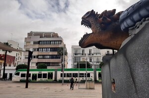 El Trambahía tiene que reorganizar el servicio de transportes a su paso por la calle Real.
