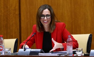 La consejera actual de Fomento, Rocío Díaz, en sede parlamentaria.