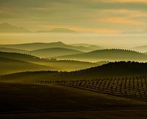  Se incluye por primera vez la categoría ‘Caza Sostenible’