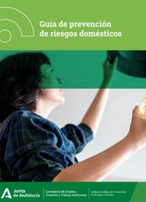 guía riesgos domésticos