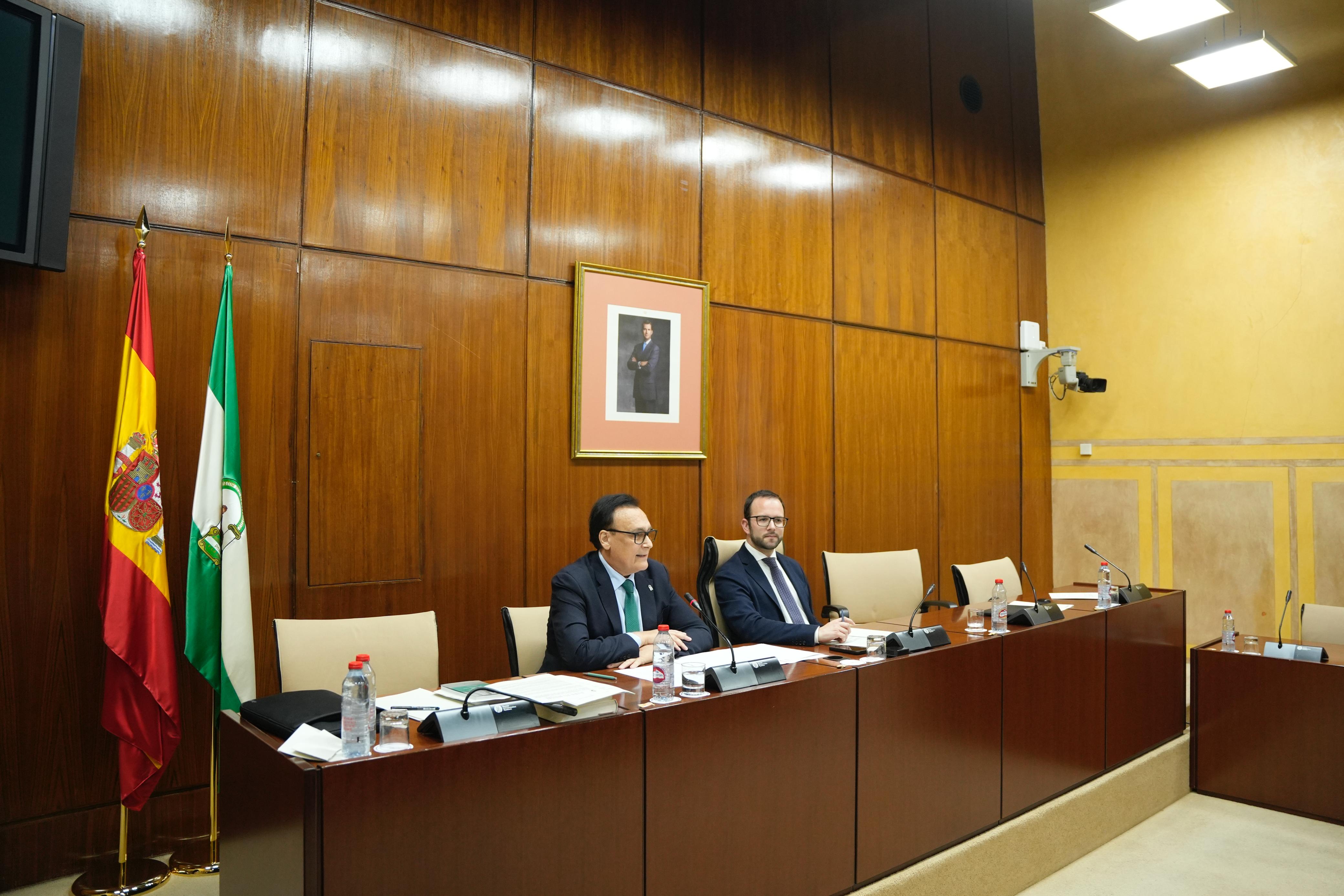 Villamandos en comisión parlamentaria