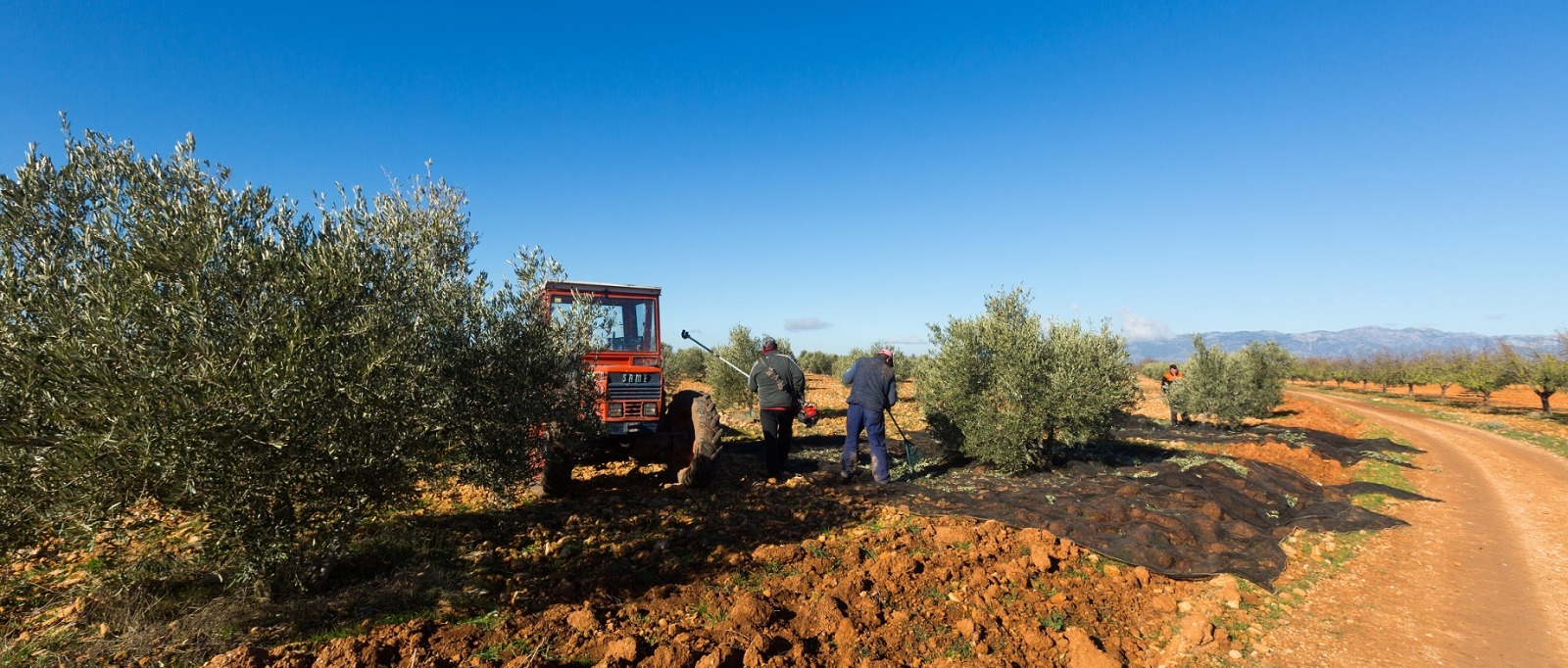 Agricultores sobre el terreno