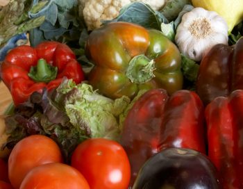 Frutas y Hortalizas Export