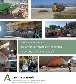 Lecciones aprendidas. Accidentes de trabajo en el sector de la industria en Andalucía