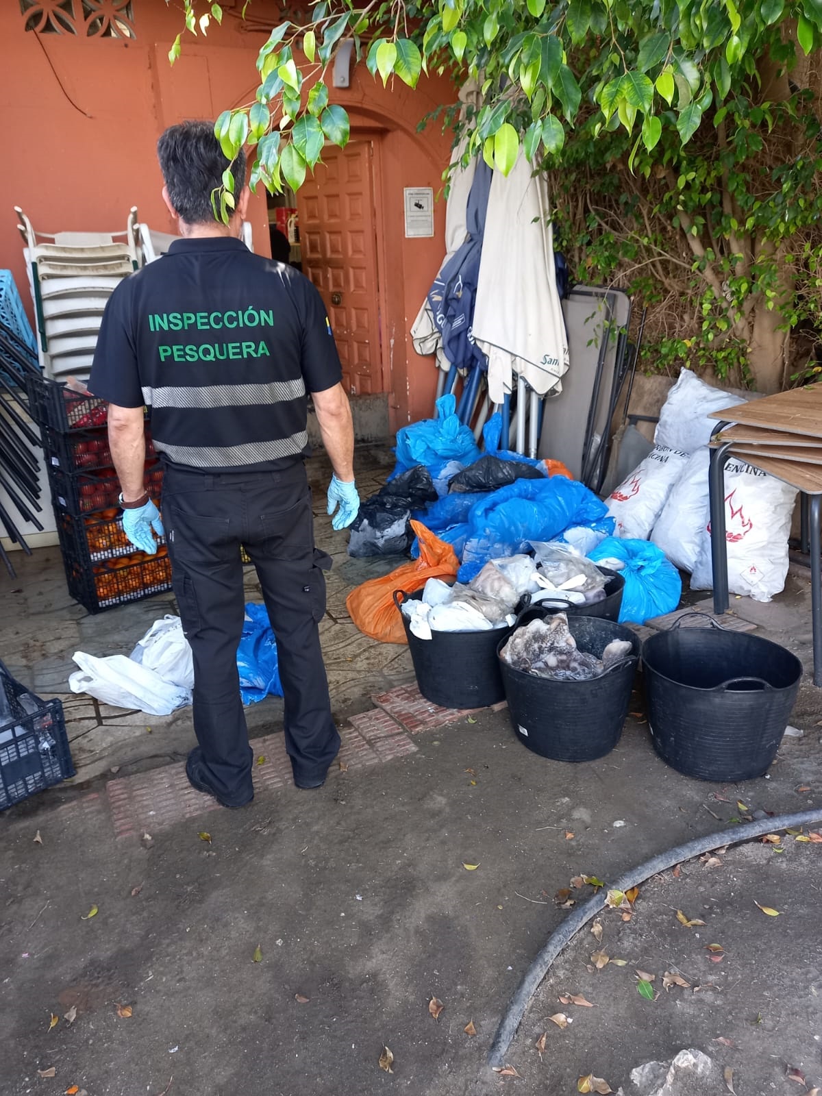 Imagen de la mercancía intervenida.