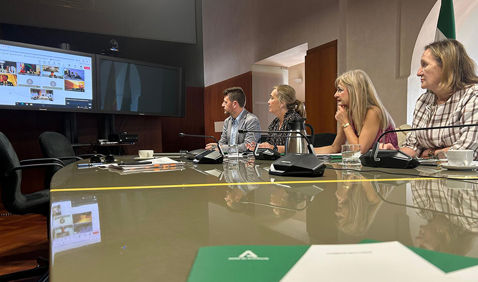 La consejera de Cultura, junto a parte de su equipo, durante la sesión telemática de la Conferencia Sectorial de Cultura.