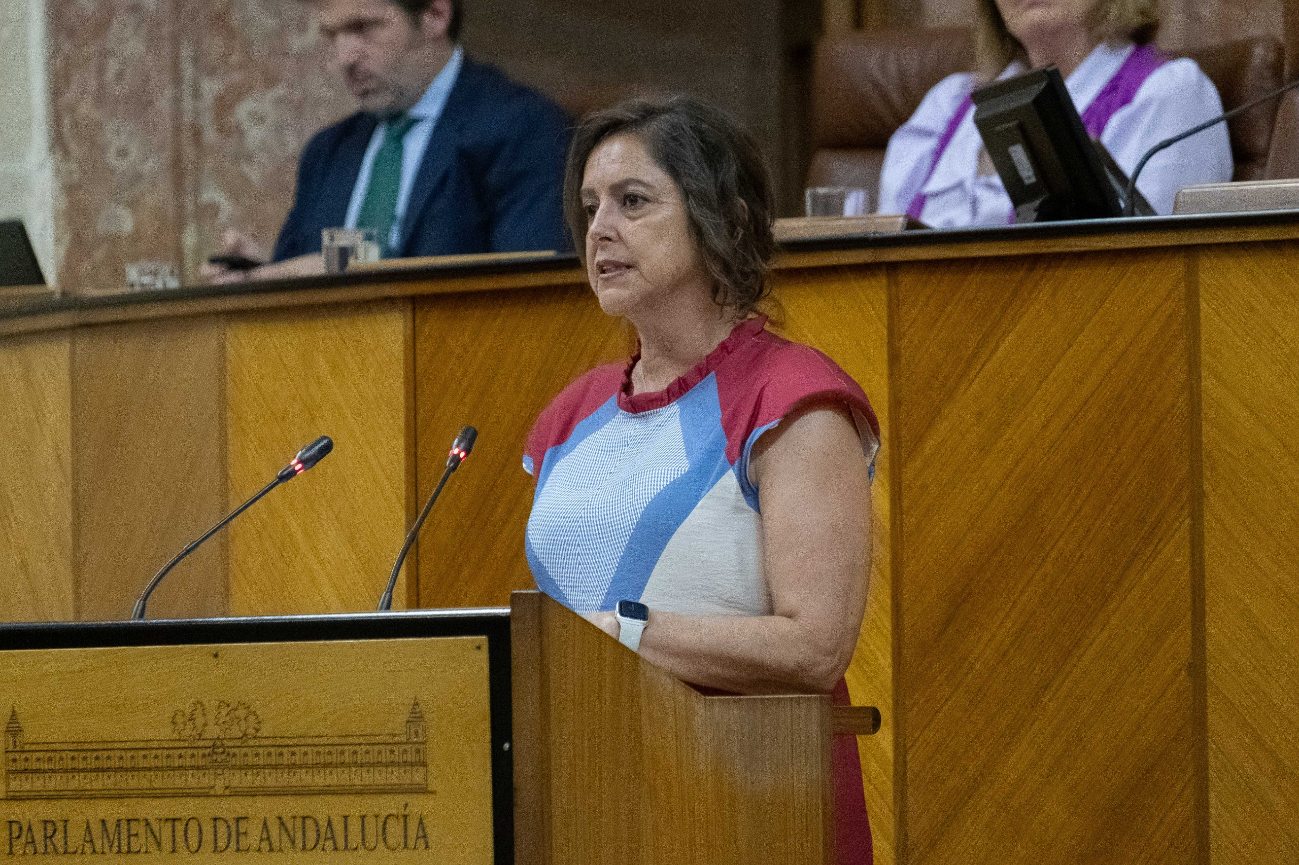 Catalina García, durante su comparecencia en el Parlamento.