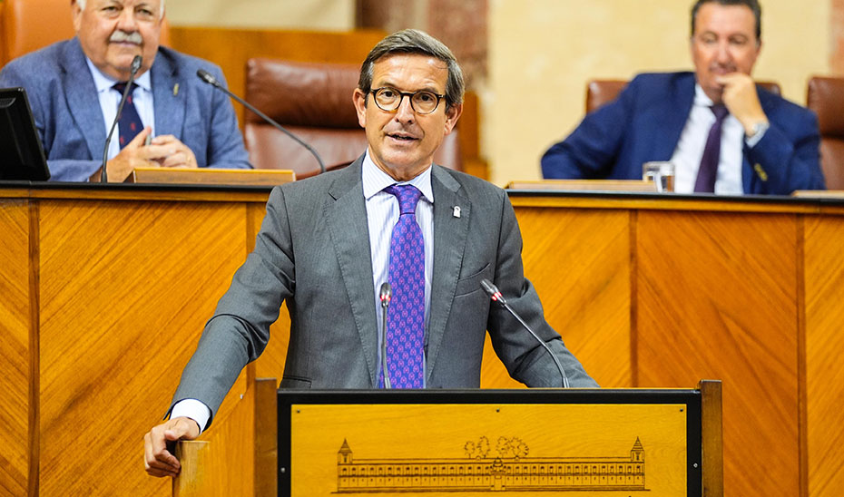 El consejero de Industria, Energía y Minas, Jorge Paradela, en su intervención en el Pleno del Parlamento andaluz.