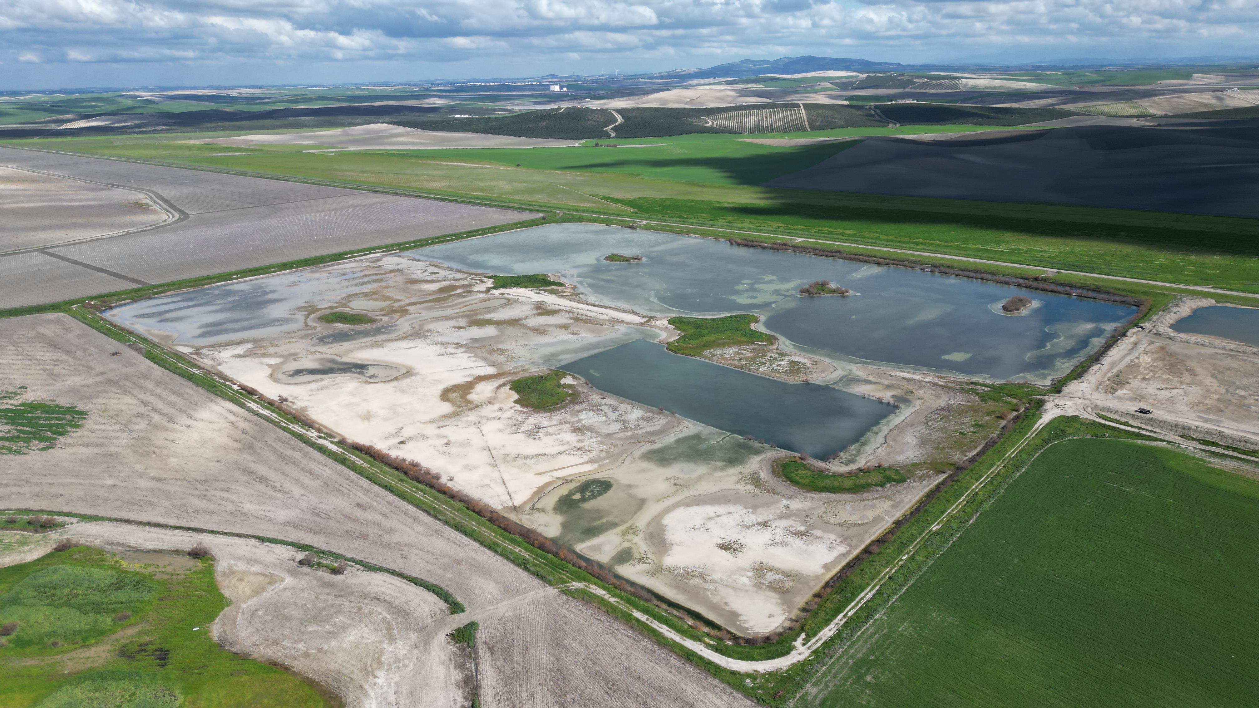 Humedal Haza de la Torre, en Jerez.