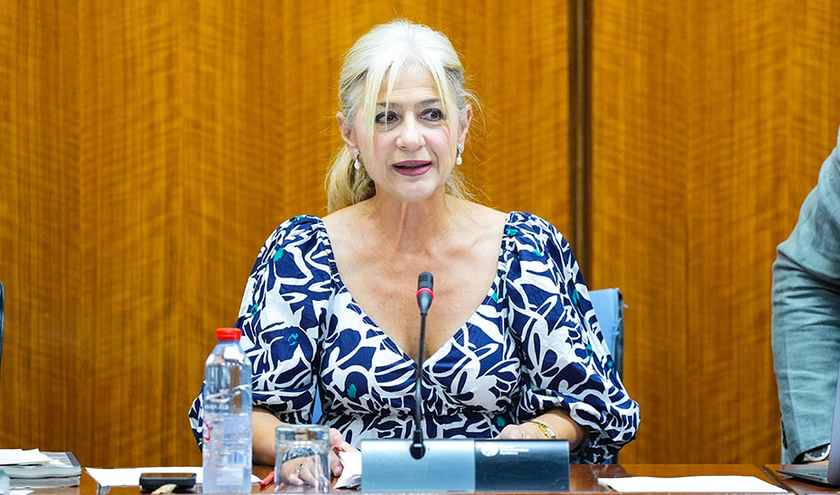 La consejera de Cultura y Deporte, Patricia del Pozo