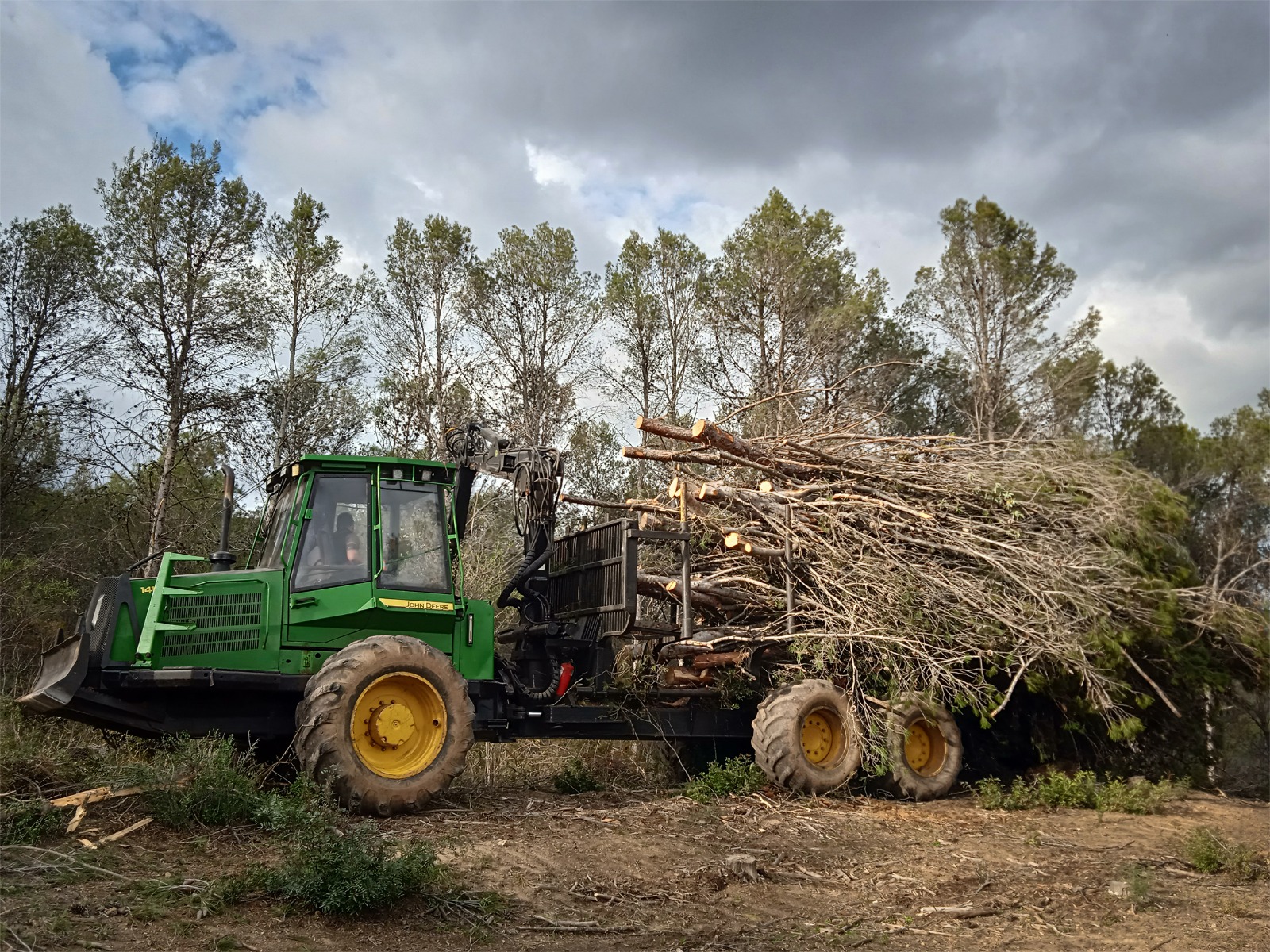 La consejera ha destacado la nueva linea de ayudas al sector forestal.