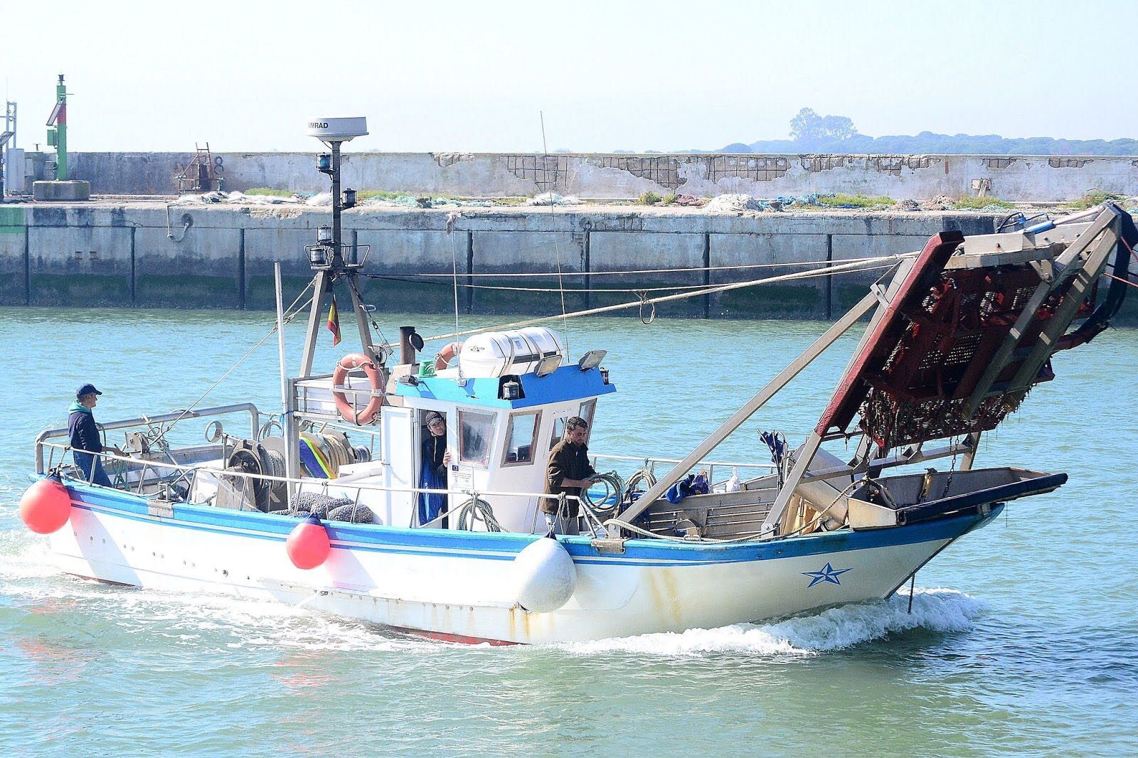 Acuerdo para abrir el caladero de chirla del Golfo de Cádiz.