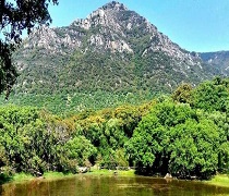 Campo de Voluntariado Juvenil 'El Picacho 2025. Estudio de ciencia ciudadana del Bosque Alcornocal'