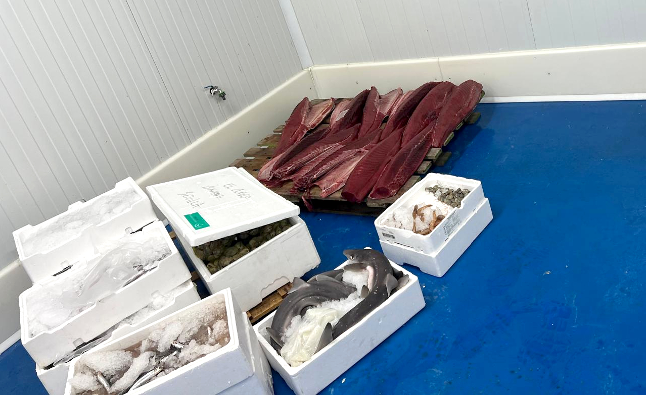 Imagen de los productos pesqueros decomisados