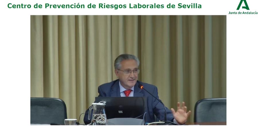 Seminario LADEP. Perspectiva de edad en la vigilancia sanita...