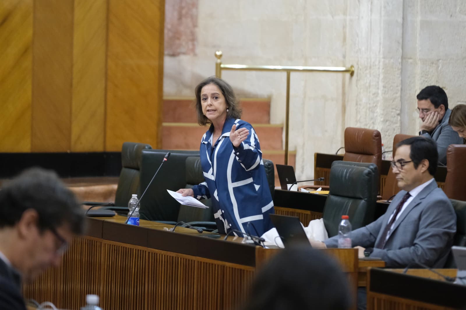 Catalina García, en el transcurso de su intervención en el Parlamento.