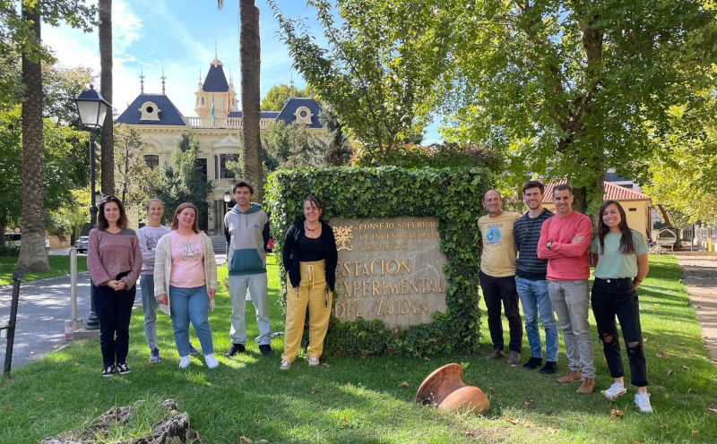 Grupo de investigación