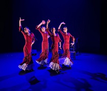 Evento lleno de jóvenes promesas del flamenco provenientes de distintos centros educativos de Granada y provincia
