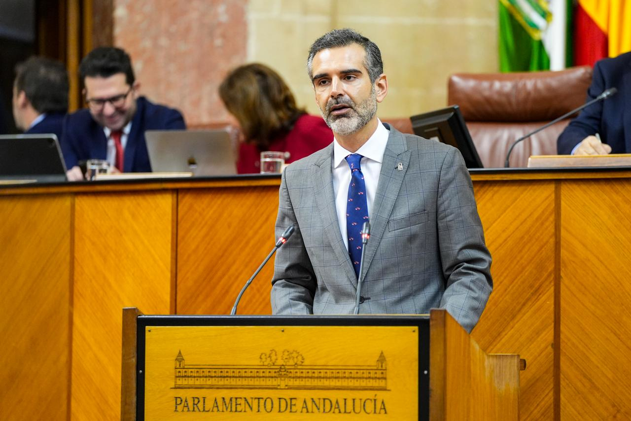 Ramón Fernández-Pacheco durante su intervención en el pleno del Parlamento de Andalucía