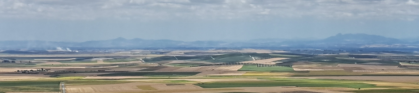 Solicitud Única 2026