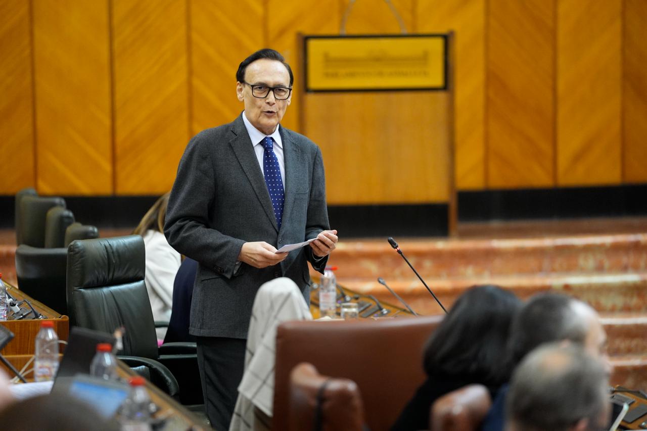 Villamandos en el pleno del Parlamento