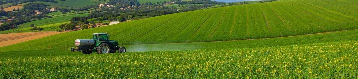 Registro General de Fabricantes y otros Agentes Económicos de Productos Fertilizantes [REGFER]