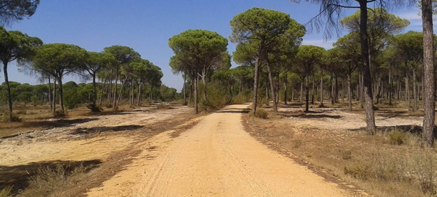 Vias pecuarias y corredores verdes