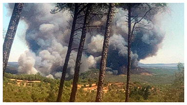Gran incendio forestal