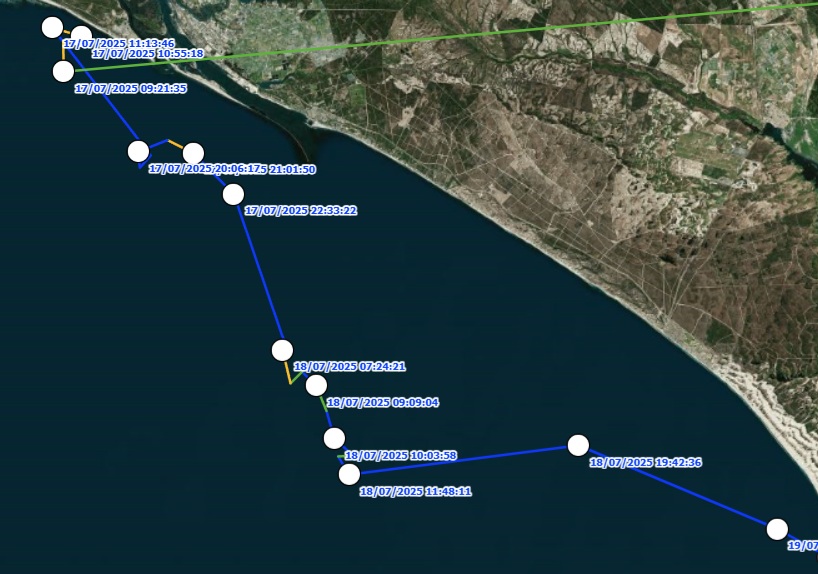 Imagen seguimiento satelital tortuga Donatello