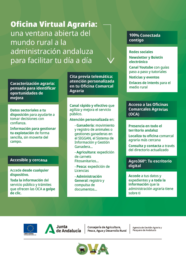 Servicios y funcionalidades OVA