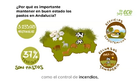 Vídeo de ganadería ecológica: 6 técnicas de manejo explicadas